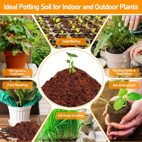 Image showing uses of 50 Pack 30mm Coco Coir Pellets Seed Starter Soil Mix Organic Coconut Coir Pods for seedlings and plants.