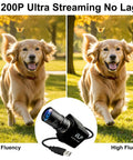 Golden retriever running with comparison of low and high fluency images using 1200P USB camera with no lag.