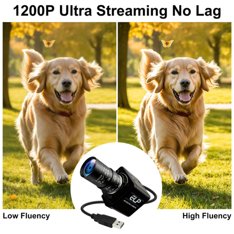 Golden retriever running with comparison of low and high fluency images using 1200P USB camera with no lag.