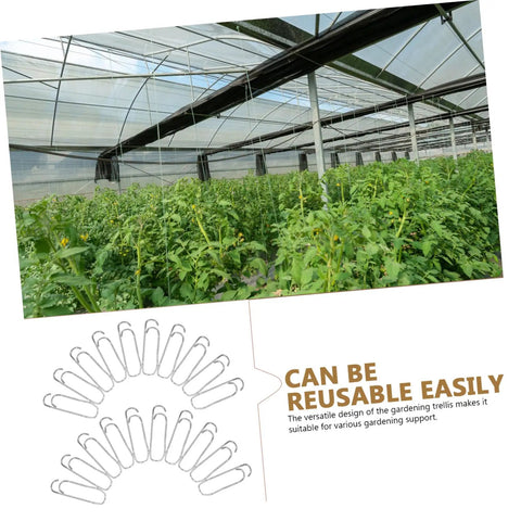 Plant Trellis Buckles 50 Pack For Garden Fences And Climbing Plants displayed with greenhouse vines