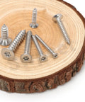 Rock Solid 170 Piece 304 Stainless Steel Screw Kit Packs 14 Sizes M3 To M6 With Tamper Proof Torx Drive and Flat Countersunk Heads on wood slice.
