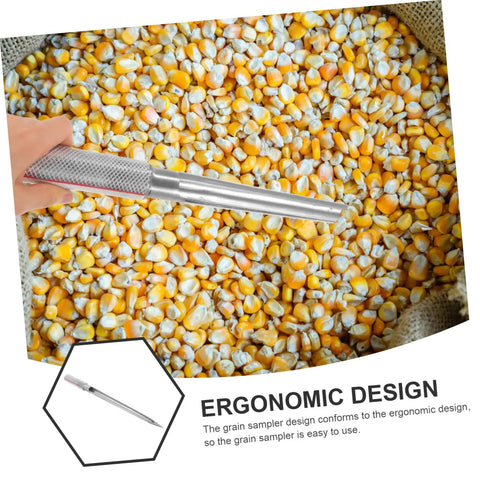 Stainless Steel Grain Sampler Probe Tool With Rubber Grip For Outdoor Gardening And Farm Use shown sampling corn kernels