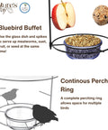 Bluebird Buffet Metal Bird Feeder With Protective Baffle for Outdoor Decor glass dish holds three quarters cup capacity