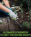 Person using Easy Use Dandelion Weeder Tool With Ergonomic Handle And Stainless Steel Two Prong Fork For Pulling Weeds From Lawn