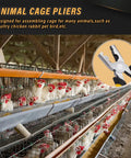 Image showing a poultry farm with 900 Pcs Rabbit And Chicken Wire Cage Clips With Fence Pliers for cage assembly.