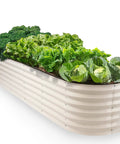Nine In One Galvanized Steel Raised Garden Bed Eight By Two By One And A Half Foot Modular Planter For Gardening Vegetables And Flowers Eighteen Inch Tall Outdoor White Metal Raised Bed With A Dope Patented Design Planter Box For Your Green Thumb filled with leafy greens