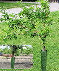 Beefed Up Tree Bark Protector Guard For Trees And Shrubs Tough Trunk Shield That Stops Animal Damage Breathable Plant Cage For Lawn Care And Orchard Deer Proof Outdoor Wrap Easy Install Garden Defense, green PP 381x254 mm on young tree trunk