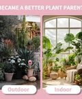 Pink Soil Moisture Meter For Indoor Plants And Lawn No More Guesswork Easy Water Gauge shown in both indoor and outdoor settings