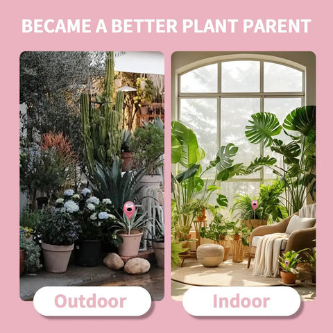 Pink Soil Moisture Meter For Indoor Plants And Lawn No More Guesswork Easy Water Gauge shown in both indoor and outdoor settings