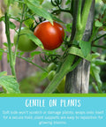 Adjustable Garden Plant Ties For Staking And Training Plants, 75 Feet Of Green Hook And Loop Tape on tomato plant