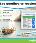 Premium German Cockroach Exterminator Brown Gel Bait Syringe Kit Featuring Four Precision Plungers For Bad Bug Banishment And Effective No Sweat Cleanup with dead cockroach.
