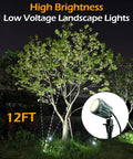 Low Voltage Landscape Lights 5W 500LM Outdoor LED Spot Lights illuminating a tree at night with 12ft beam range