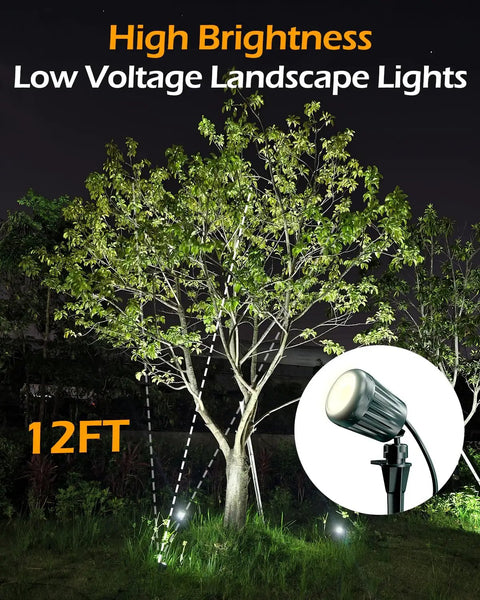 Low Voltage Landscape Lights 5W 500LM Outdoor LED Spot Lights illuminating a tree at night with 12ft beam range