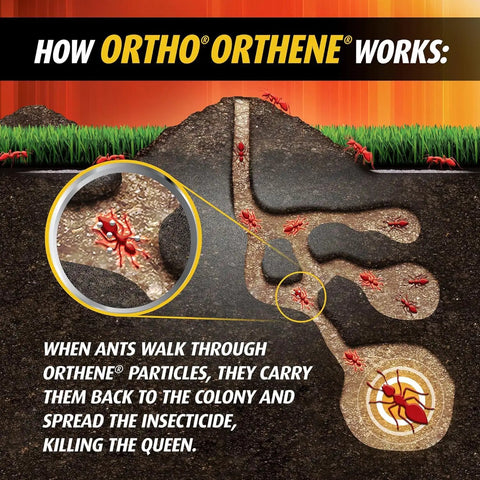 Illustration of ant colony and effect of Fire Ant Killer Powder That Kills The Queen And Colony Fast For Lawns And Gardens No Watering Required Outdoor Treatment For Quick Long Lasting Ant Control.