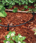 Rain Bird 1/4 in blank distribution tubing, black, 250 ft roll, installed in garden bed