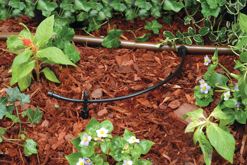 Rain Bird 1/4 in blank distribution tubing, black, 250 ft roll, installed in garden bed