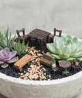 8 Piece Miniature Garden Figurines Resin Table And Chairs Set For Dollhouse Landscape Ornaments displayed among succulents in a bowl