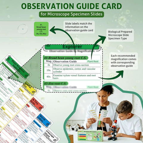 Must Have 50 Prepared Microscope Slides Kit With Diverse Plant, Animal, And Microorganism Specimens For Biology STEM Learning, Includes 5 Instruction Cards And 2 Cleaning Cloths observation guide card with labeled prepared slides for biology study