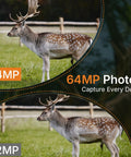 E6 WiFi Trail Camera Non Cellular With External Antenna demonstrating 64MP photo comparison of deers in outdoor setting