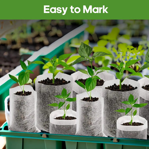 Eco Friendly Biodegradable Plant Grow Bags 5.5x6.3 Inches 200 Pack Non Woven Seed Starter Pots with seedlings in greenhouse