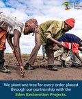 Group planting trees as part of Eden Restoration Projects initiative
