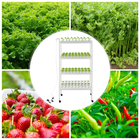 4 Tier Indoor And Outdoor Hydroponic Grow Rack With 12 Pipes And 108 Plant Sites, showing growing strawberries and leafy greens