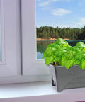 Start Pickin Raised Bed Grow Box With Self Watering And Enhanced Aeration Mobile Starter Box For Small Herb Gardens 10 Inch Bed 12x20 Growing Area Slate Color on windowsill with green herbs