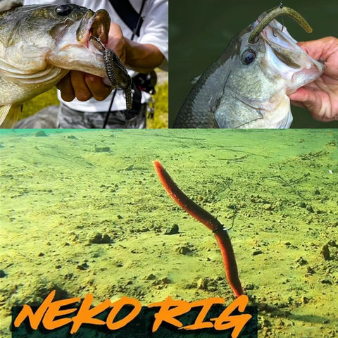 Senko Wacky Worm Soft Plastic Lures Kit, 30 Pcs in 5 Colors Mixed, Two Sizes 5.5 Inch 0.35 Oz and 4 Inch 0.2 Oz, Bassin Friendly Freshwater Saltwater Baits For Texas Rigs Dropshot and Carolina Rig