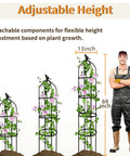 Image showing adjustable height feature of 6Ft Adjustable Garden Obelisk Trellis With Four Rings And Decorative Tops Dope Rustproof Black Metal Plant Support For Roses Tomatoes Clematis And Climbing Vines In Pots Or Garden, with man for scale.