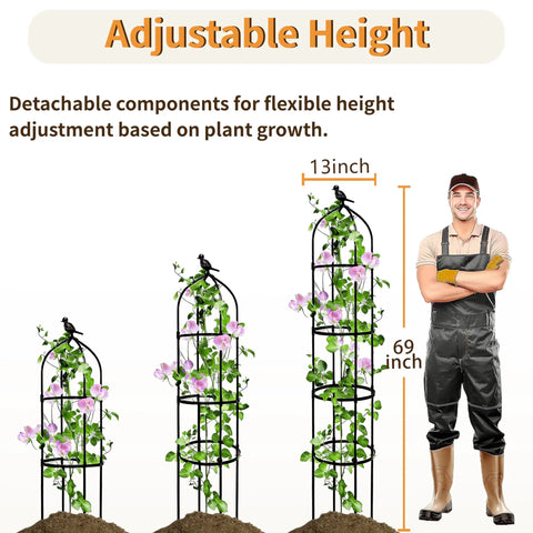 Image showing adjustable height feature of 6Ft Adjustable Garden Obelisk Trellis With Four Rings And Decorative Tops Dope Rustproof Black Metal Plant Support For Roses Tomatoes Clematis And Climbing Vines In Pots Or Garden, with man for scale.