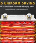 Backyard BBQ Pro Style Electric Food Dehydrator With 18 Spacious Stainless Trays displaying 3D uniform drying of fruits.