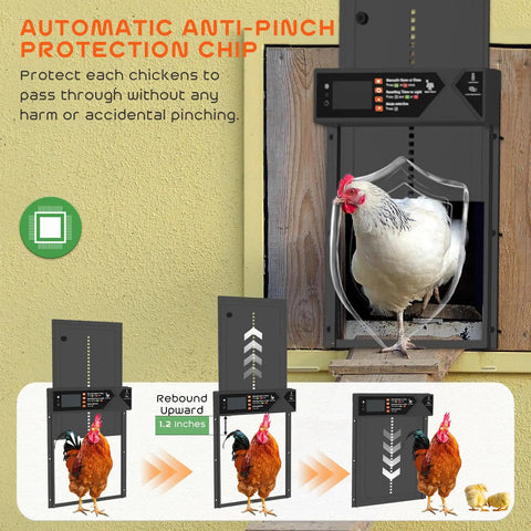 Built Tough Automatic Chicken Coop Door With 4000mAh Battery Solar Powered 7W Solar Panel Timer And Light Sensor Anti Pinch Aluminum Construction Remote Control Wire Clip Black with chicken passing through and anti-pinch feature visible.