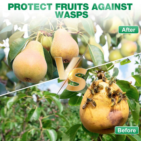 2 Pack 16 Oz Bee And Wasp Spray With Natural Peppermint Oil For Outdoor Use Kills Yellow Jackets Hornets Carpenter Bees Safe For Your Yard And Garden Insect Repellent Easy To Use, image showing pears protected versus infested by wasps.