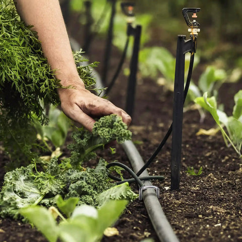 A hand tending to plants in a garden, with irrigation hoses secured by Beefy Galvanized Landscape Staples 4 Inch 12 Gauge Heavy Duty Garden Stakes Pack Of 50 For Fences, Lawns, Weed Barriers, Landscape Fabric, Irrigation Hoses, And Yard Projects.