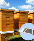 Two Pack Cedar Screened Bottom Boards For 8 Frame Langstroth Beehives With Metal Insert And Painted Finish in beehive setup