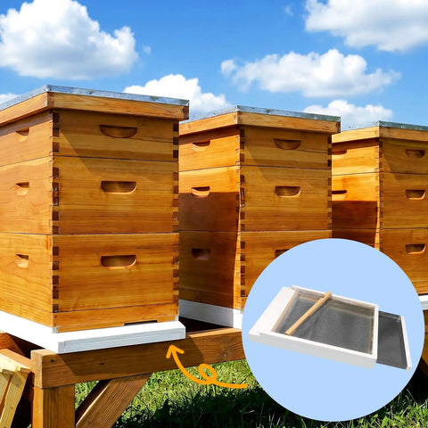Two Pack Cedar Screened Bottom Boards For 8 Frame Langstroth Beehives With Metal Insert And Painted Finish in beehive setup