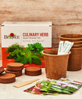 Indoor Herb Garden Starter Kit with Five Seed Packets Cilantro Dill Parsley Sweet Basil and Chives pots and markers