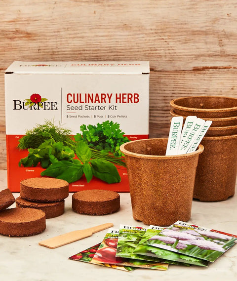 Indoor Herb Garden Starter Kit with Five Seed Packets Cilantro Dill Parsley Sweet Basil and Chives pots and markers