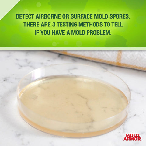 Petri dish from DIY Mold Test Kit For Home And Outdoor Use, Quick At Home Mold Check In 48 Hours, shows indoor mold test result.