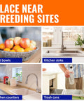 Indoor Fruit Fly Trap 4 Pack With 180 Day Food Based Lure near fruit bowls and kitchen sinks for effective pest control.
