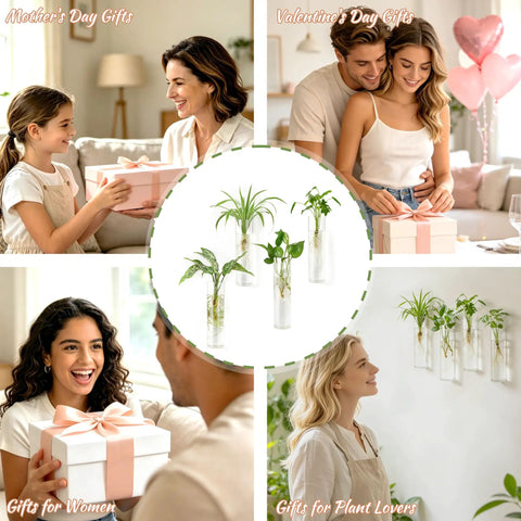 Collage showing Glass Tube Propagation Station Hanging Vase Set - 4 Cylinder Wall Planters in various gift scenes.