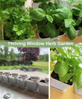 Indoor Herb Garden Starter Kit With 10 Non GMO Herb Seeds Soil Pots And Moisture Meter For Easy Windowsill Gardening