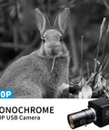 Top Tier Global Shutter Usb Camera With Hella Fast 640 Fps Monochrome Capture And Slick 5 To 50 Millimeter Cs Lens Kit For Linux Mac And Windows Platforms capturing a rabbit.
