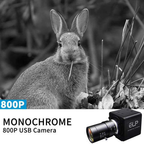 Top Tier Global Shutter Usb Camera With Hella Fast 640 Fps Monochrome Capture And Slick 5 To 50 Millimeter Cs Lens Kit For Linux Mac And Windows Platforms capturing a rabbit.
