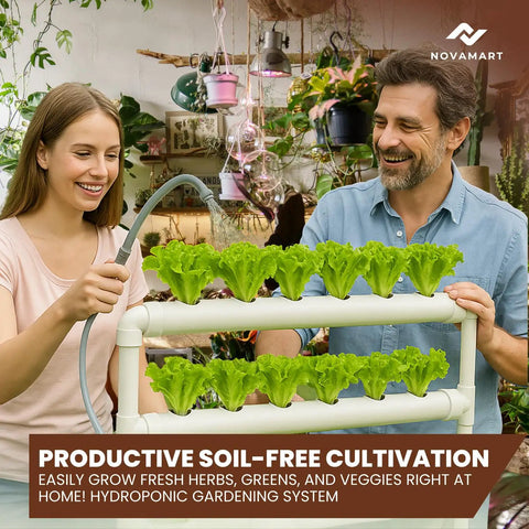 Couple using Hydroponic Plant Growing System For Home Gardens 36 Site Indoor Vertical Garden Tower With US AU Plug