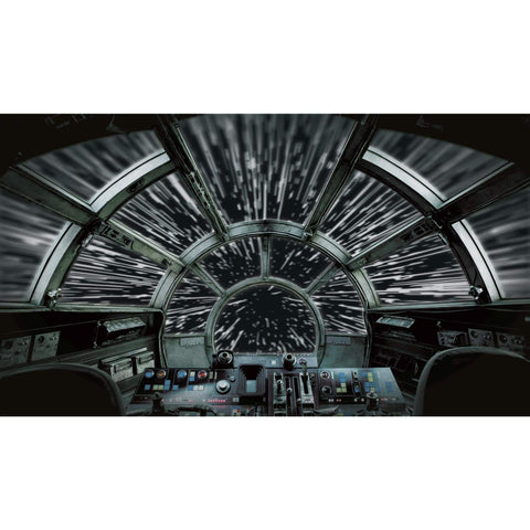 Star Wars Hyper Space Black Peel And Stick Wall Mural Easy No Paste Application 10.5 Ft By 6 Ft Transform Your Room with cockpit view