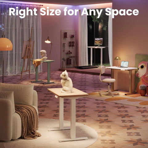 Compact 32 Inch Electric Standing Desk With Four Memory Height Settings For Home Office And Computer Workstation In Light Walnut Finish shown in a modern room with a cat on top.