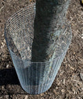 Beefy Heavy Duty 1/2 Inch Mesh Welded Wire Fence 36 Inch By 25 Foot Made From 19 Gauge Galvanized Steel protecting tree trunk
