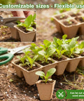 120 Cell Seed Starter Tray Kit with Germination Peat Pots and 100 Labels for Seedlings, showing plants growing in trays.