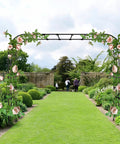 Beefy Heavy-Duty 25mm Thickened Steel Garden Arch Trellis, 157 Inches Long By 105 Inches High, with climbing roses in a garden.